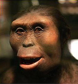 片中提到人类的起源---正是一只叫做lucy的猿人,如果拿她的五官和尼